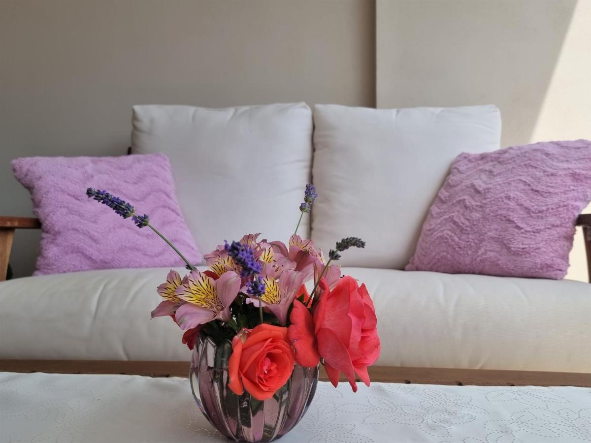 Apartments Ragusa Ровінь Екстер'єр фото